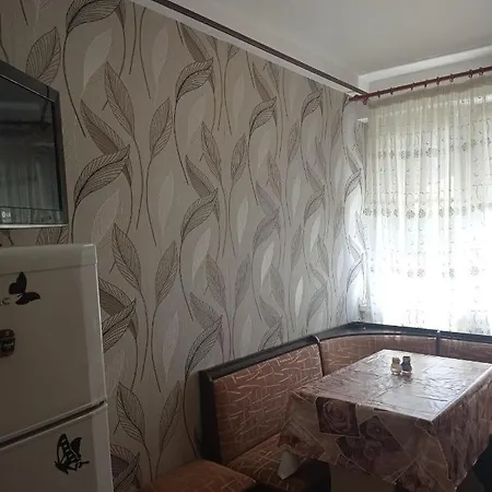 Modern Apartment